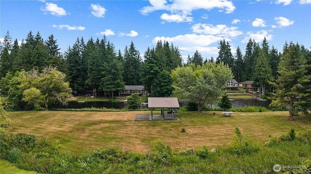 181 E Dabob Rd, Shelton, WA 98584 - view of green lawn