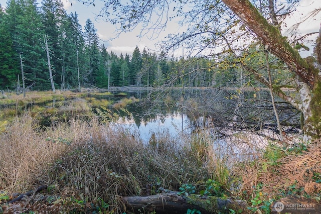 4650 Viridian Ave SW, Port Orchard, WA 98367 - water view with a heavily wooded area