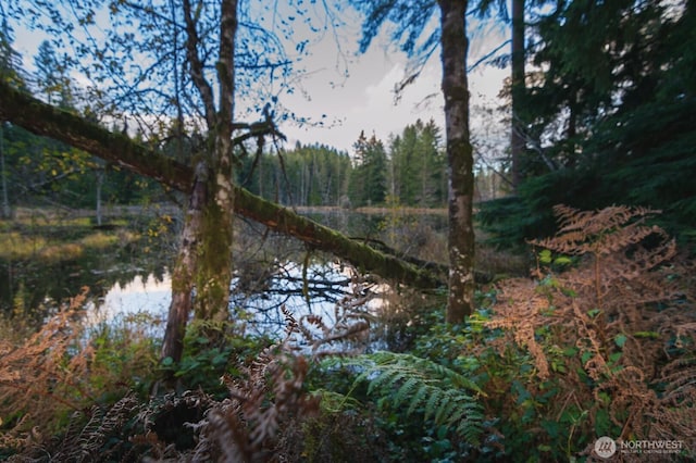 4650 Viridian Ave SW, Port Orchard, WA 98367 - water view with a forest