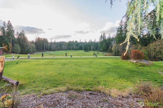 4650 Viridian Ave SW, Port Orchard, WA 98367 - surrounding community with a lawn and a forest view