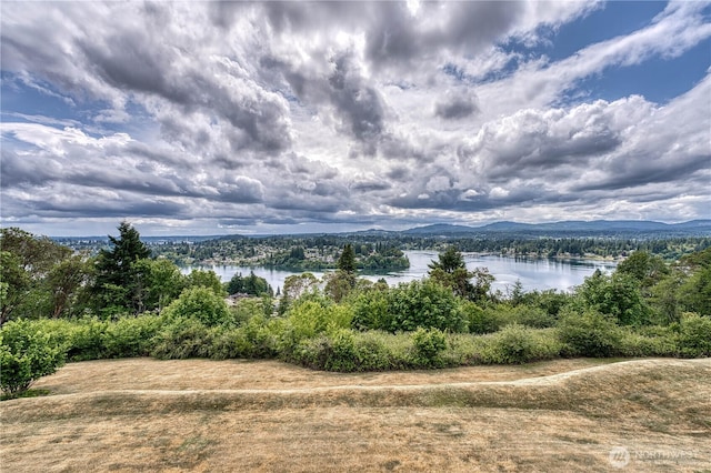 3330 Narrows View Ln NE Unit 203, Bremerton, WA 98310 - water view