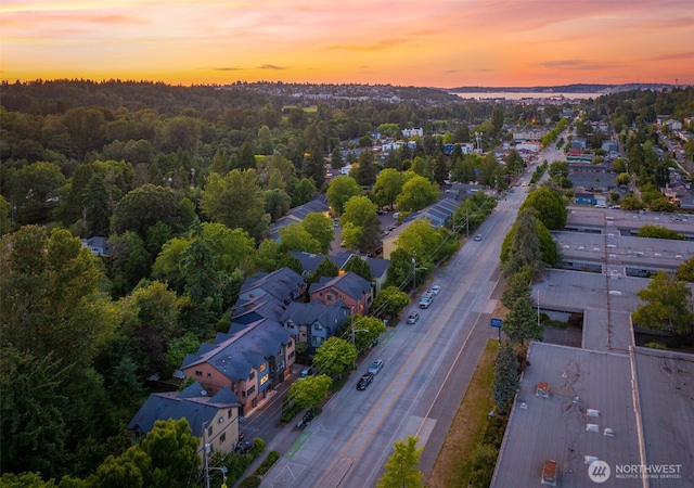 5955 Delridge Way SW, Seattle, WA 98106 - aerial perspective of suburban area