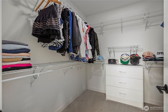 3418 23rd Ave W, Seattle, WA 98199 - spacious closet featuring light carpet