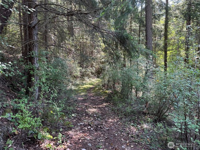 7280 Muriel Ln, Anacortes, WA 98221 - photo 31