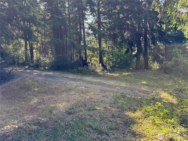 7280 Muriel Ln, Anacortes, WA 98221 - photo 21