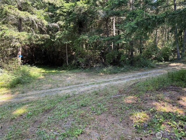 7280 Muriel Ln, Anacortes, WA 98221 - photo 22