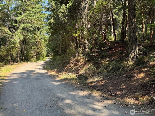 7280 Muriel Ln, Anacortes, WA 98221 - photo 10