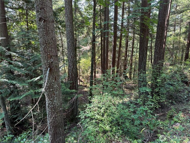 7280 Muriel Ln, Anacortes, WA 98221 - photo 26