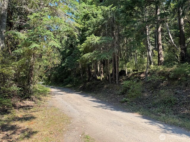 7280 Muriel Ln, Anacortes, WA 98221 - photo 11
