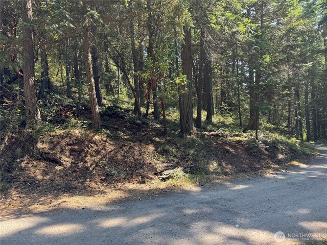 7280 Muriel Ln, Anacortes, WA 98221 - photo 8