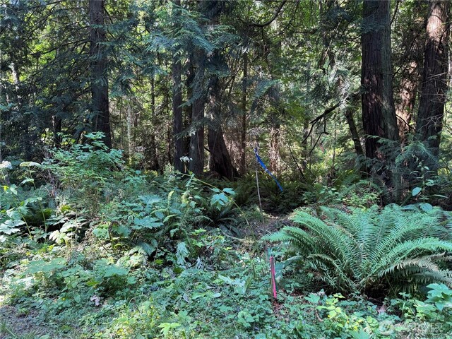 7280 Muriel Ln, Anacortes, WA 98221 - photo 28