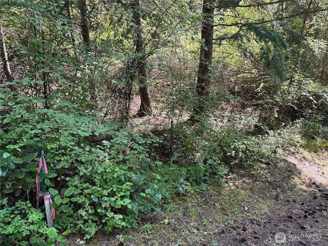7280 Muriel Ln, Anacortes, WA 98221 - photo 30