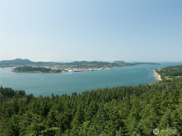7280 Muriel Ln, Anacortes, WA 98221 - photo 1