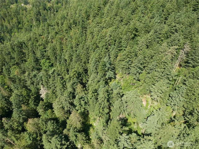 7280 Muriel Ln, Anacortes, WA 98221 - photo 2