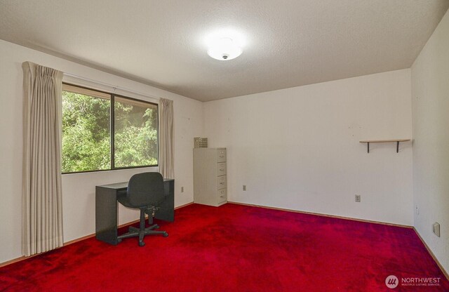 1203 Contra Costa Ave, Fircrest, WA 98466 - view of carpeted office space
