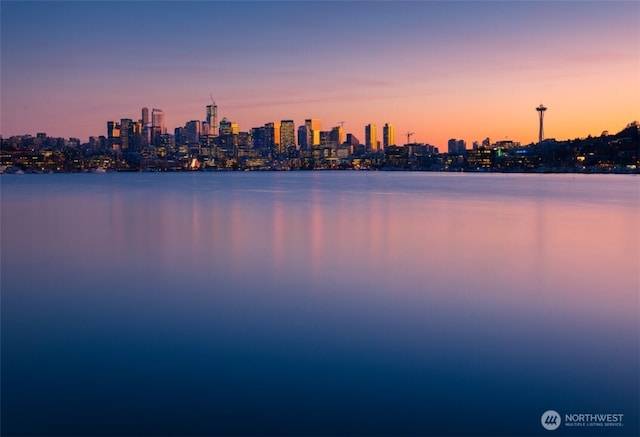 2236 Fairview Ave E Unit B, Seattle, WA 98102 - water view featuring skyline