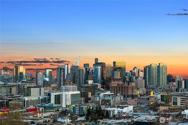 2236 Fairview Ave E Unit B, Seattle, WA 98102 - skyline view