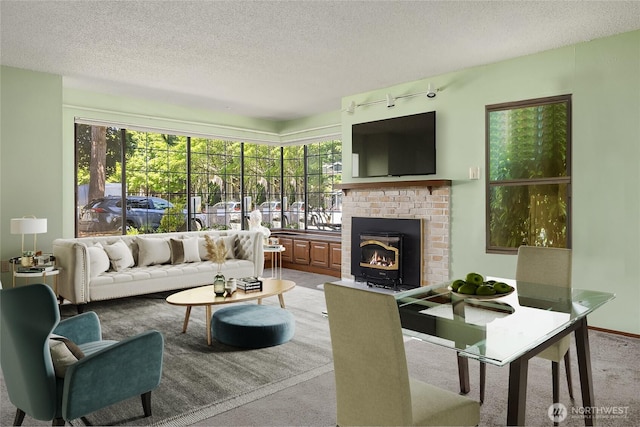 8408 18th Ave W Unit 10-101, Everett, WA 98204 - carpeted living area featuring rail lighting, a textured ceiling, healthy amount of natural light, and a fireplace