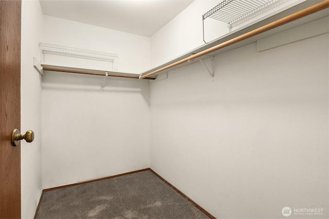 8408 18th Ave W Unit 10-101, Everett, WA 98204 - walk in closet featuring carpet floors
