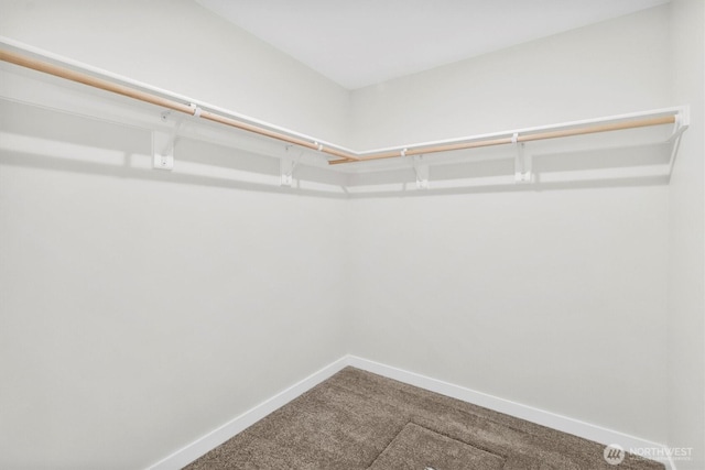 281 Shallow Shore Rd, Bellingham, WA 98229 - spacious closet with carpet floors