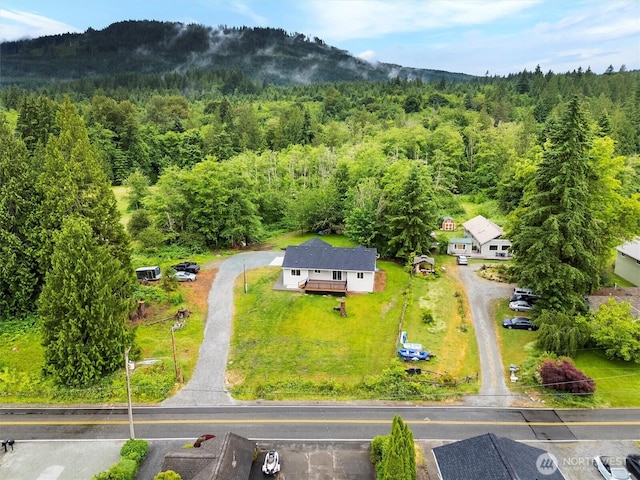 281 Shallow Shore Rd, Bellingham, WA 98229 - drone / aerial view of a forest and mountains
