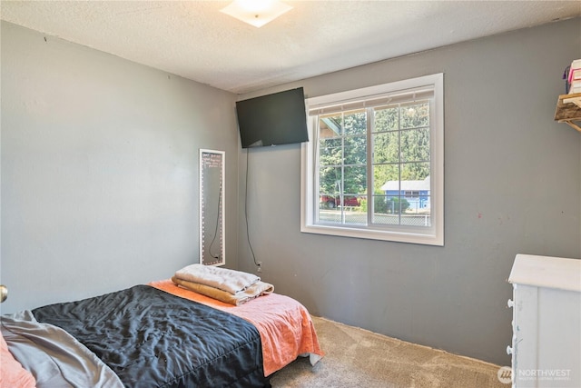 642 SW 5th Ave, Castle Rock, WA 98611 - view of carpeted bedroom