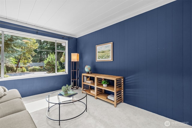 13523 23rd Pl NE, Seattle, WA 98125 - living area with carpet floors