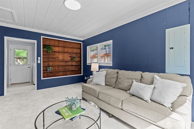 13523 23rd Pl NE, Seattle, WA 98125 - living area with electric panel, built in features, and carpet floors