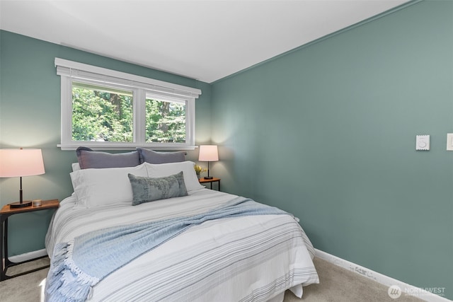 13523 23rd Pl NE, Seattle, WA 98125 - bedroom featuring carpet flooring