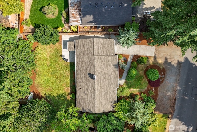 13523 23rd Pl NE, Seattle, WA 98125 - view of subject property