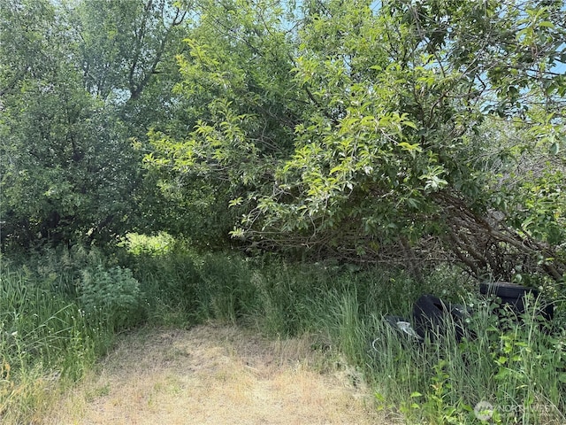 8 Mallard Ln, Republic, WA 99166 - photo 23