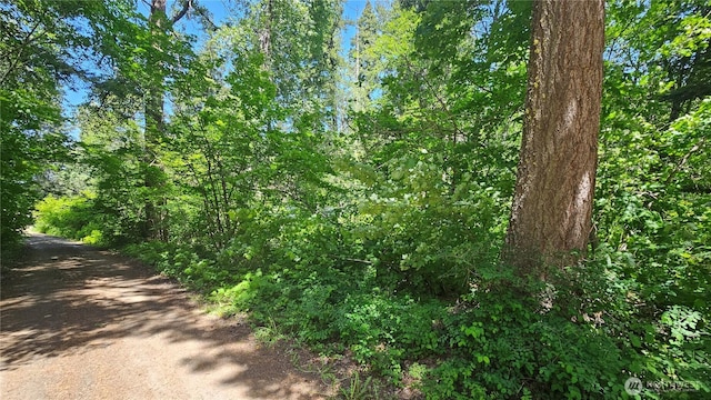 0 Heron Dr, Cle Elum, WA 98922