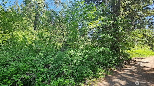 0 Heron Dr, Cle Elum, WA 98922