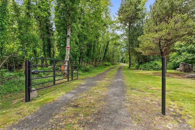 441 Bay Center Rd, Bay Center, WA 98586 - photo 3