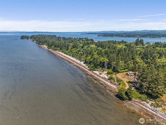 441 Bay Center Rd, Bay Center, WA 98586 - photo 38