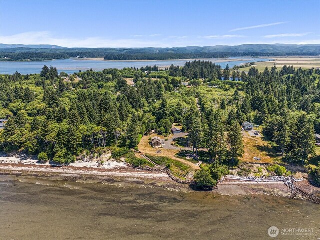 441 Bay Center Rd, Bay Center, WA 98586 - photo 40