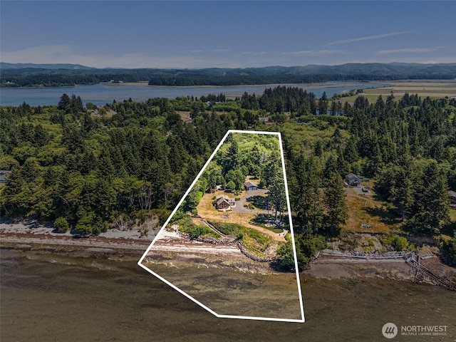 441 Bay Center Rd, Bay Center, WA 98586 - photo 39
