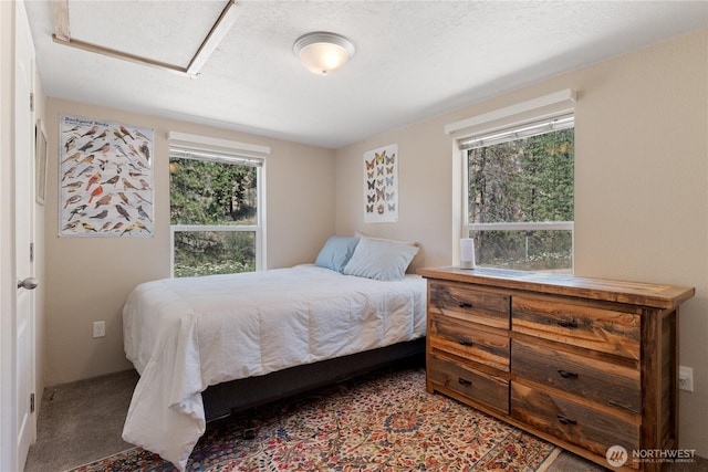 968 Cagle Gulch Rd, Chelan, WA 98816 - bedroom featuring multiple windows and a textured ceiling