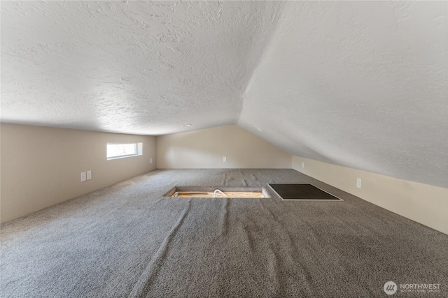 968 Cagle Gulch Rd, Chelan, WA 98816 - additional living space with a textured ceiling, vaulted ceiling, and carpet