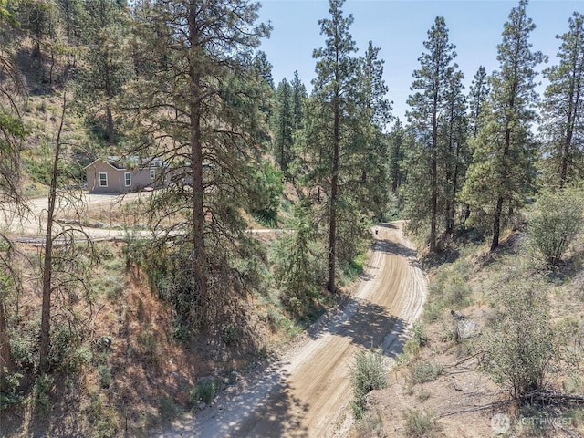 968 Cagle Gulch Rd, Chelan, WA 98816 - drone / aerial view of a forest