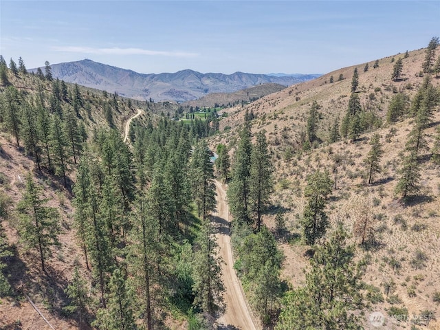 968 Cagle Gulch Rd, Chelan, WA 98816 - view of mountain background