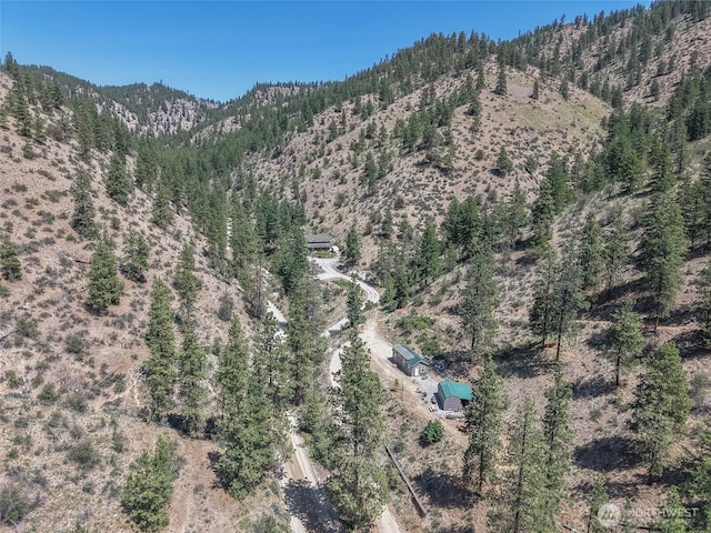 968 Cagle Gulch Rd, Chelan, WA 98816 - view of mountain background