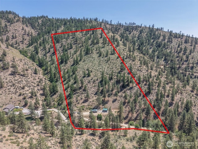 968 Cagle Gulch Rd, Chelan, WA 98816 - view of property location with property parcel outlined and a mountainous background