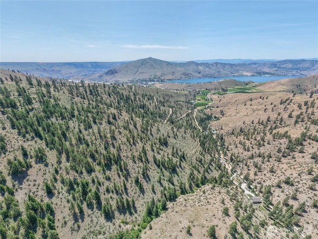 968 Cagle Gulch Rd, Chelan, WA 98816 - view of mountain background with a large body of water