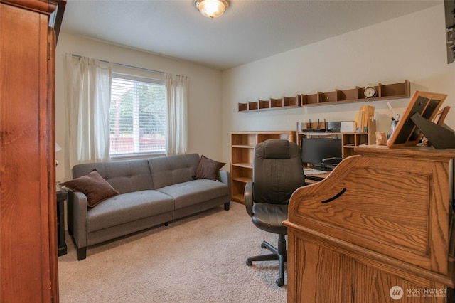 117 Bufflehead St SW, Ocean Shores, WA 98569 - view of carpeted home office
