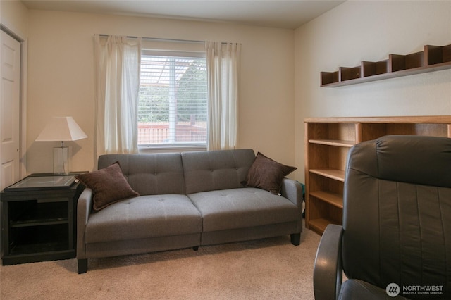 117 Bufflehead St SW, Ocean Shores, WA 98569 - living room featuring light carpet