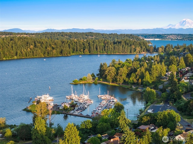 3925 48th Ave S, Seattle, WA 98118 - water view with a mountain backdrop