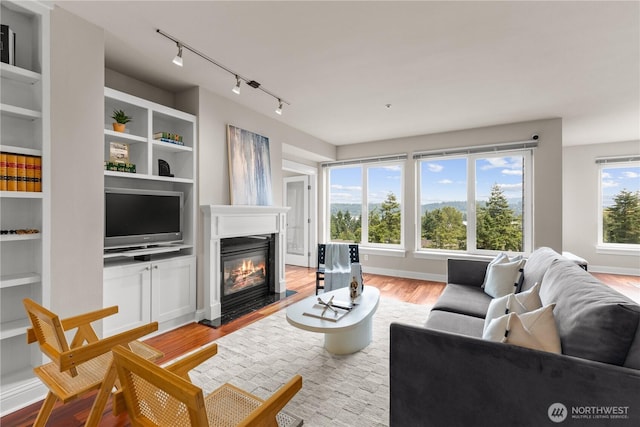 18707 SE Newport Way Unit 208, Issaquah, WA 98027 - living area featuring track lighting, light wood-style flooring, and a fireplace with flush hearth