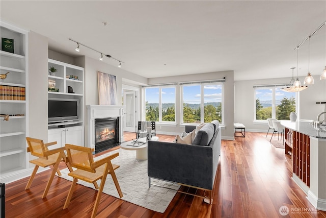 18707 SE Newport Way Unit 208, Issaquah, WA 98027 - living area with track lighting, a glass covered fireplace, light wood-style floors, and built in features