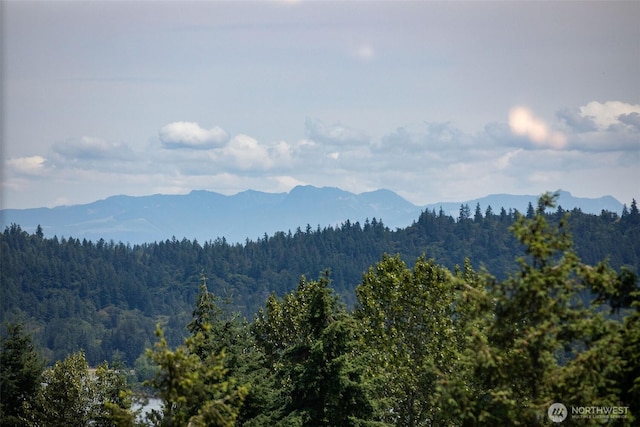 18707 SE Newport Way Unit 208, Issaquah, WA 98027 - view of mountain backdrop featuring a forest